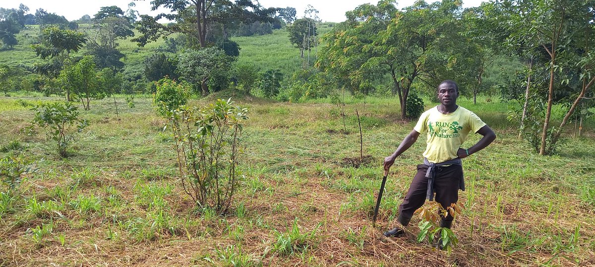 We are keeping and maintaining the Every 5 Acres project reforestation ground. Thanks to the good work of our Bwambale.