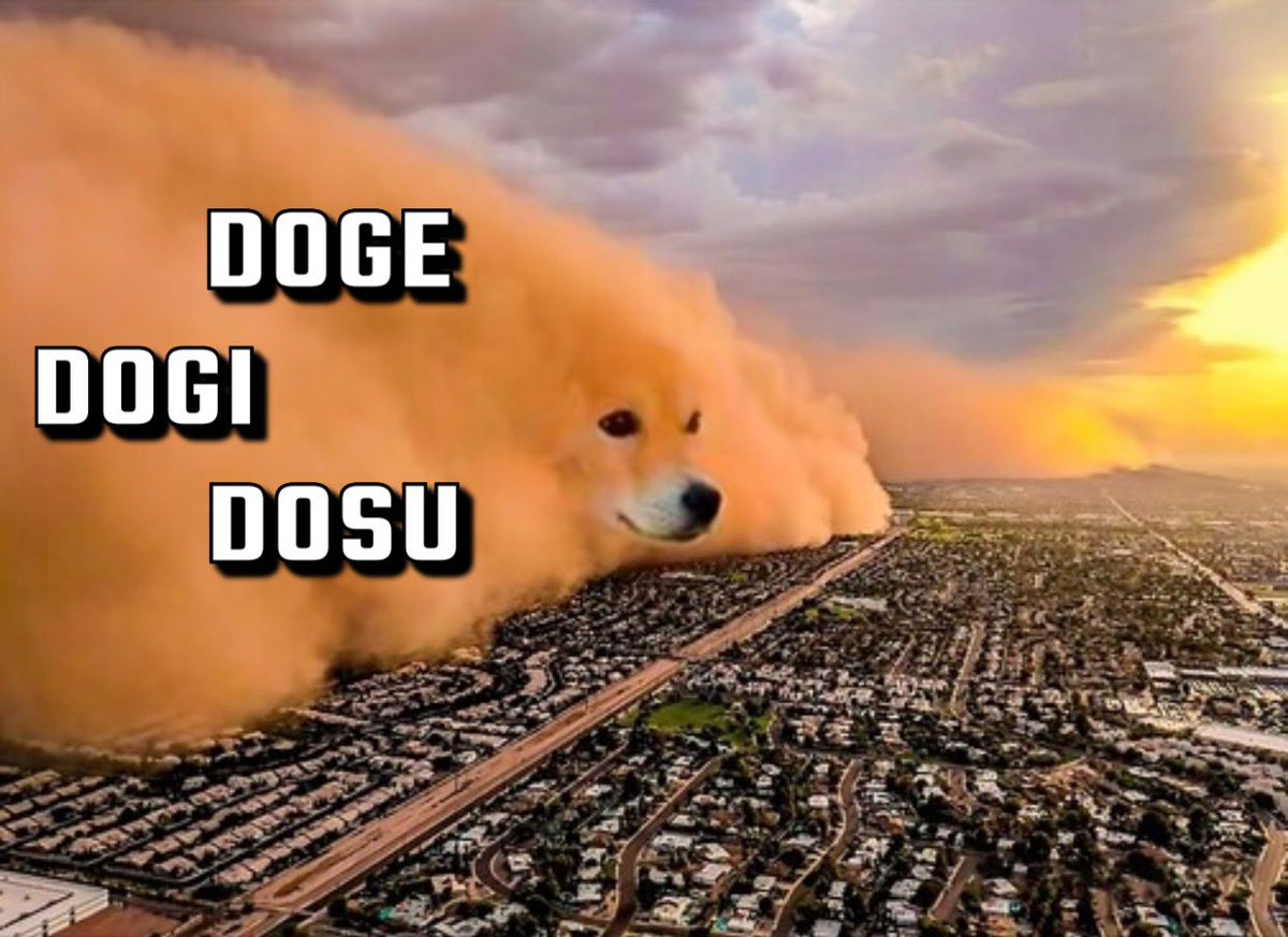 Kabosu | DRC20 🐕 tweet media