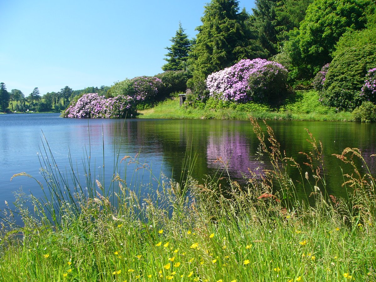 Join our Head of Environment Nicola Morris for a two-day online course (10am to 1pm on 16 and 18 January 2024) to find out more about identifying and managing invasive species. More info here: swlakestrust.org.uk/Event/invasive… #ItsYourOutdoors