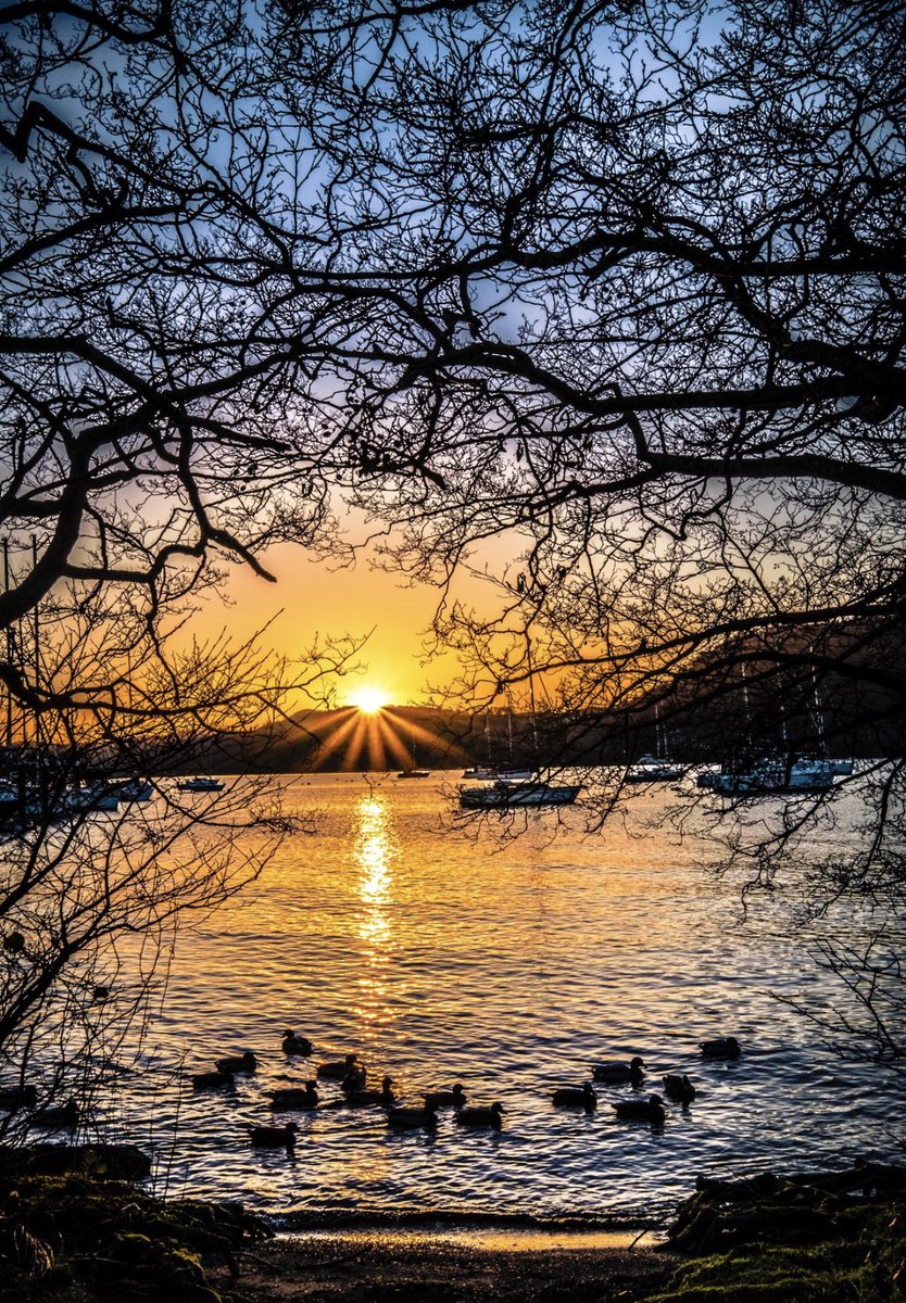 Langston (@langsto69459891) on Twitter photo 