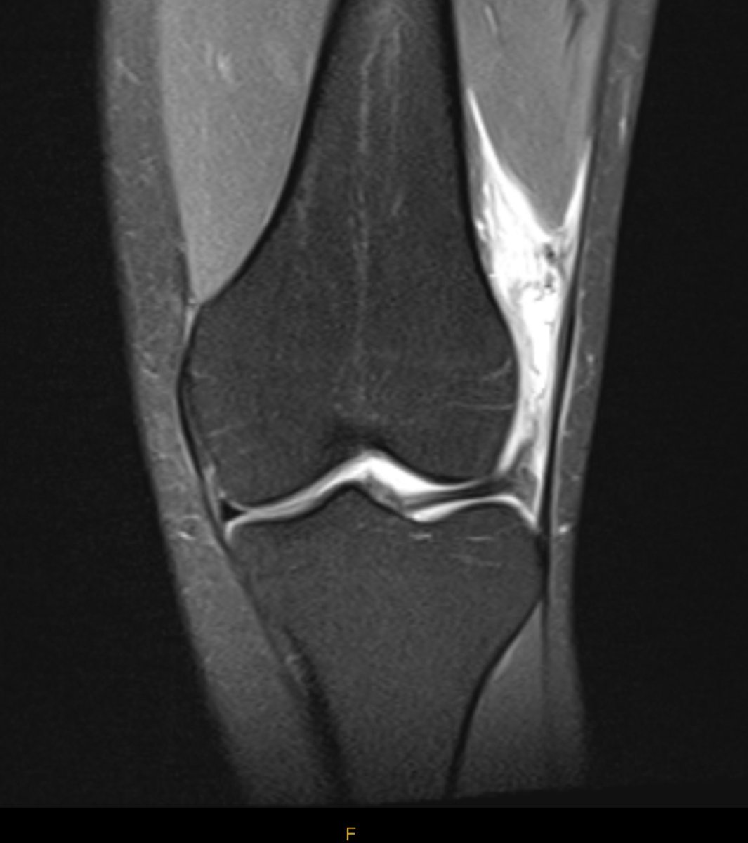 James Noake tweet media