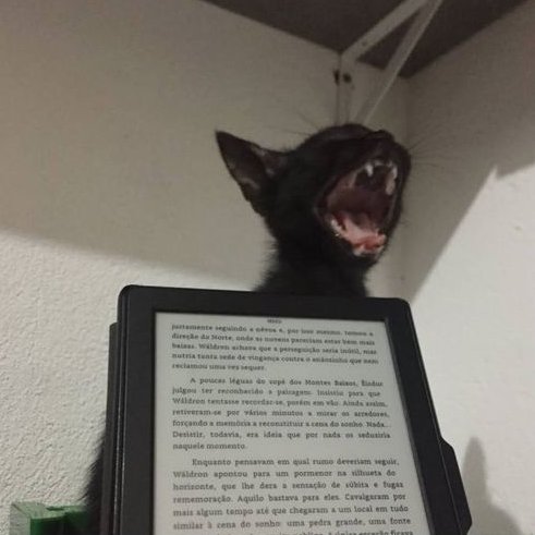 TemLivro's tweet photo. pov: seu personagem fav morreu https://t.co/8ddNUcjfj0