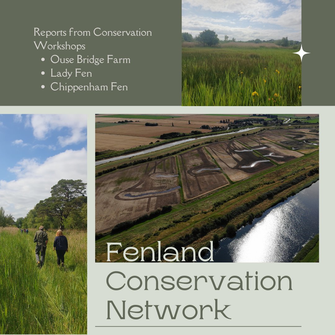 Centre for Landscape Regeneration (@clr_cambridge) on Twitter photo Exciting update!
Fenland Conservation Network!
Where local expertise & research merge for impactful Fens wetland conservation. Farmers, reserve managers & conservationists unite for effective results. clr.conservation.cam.ac.uk/projects/cambr… <a href="/ConservEvidence/">Conservation Evidence</a> (#VCAwardsCam Academic Winners '23) Exciting update!
Fenland Conservation Network!
Where local expertise & research merge for impactful Fens wetland conservation. Farmers, reserve managers & conservationists unite for effective results. clr.conservation.cam.ac.uk/projects/cambr… <a href="/ConservEvidence/">Conservation Evidence</a> (#VCAwardsCam Academic Winners '23)