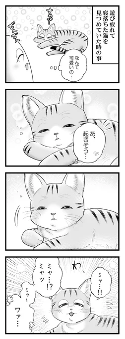 遊び疲れ寝落ち猫が尊い(計4枚です)