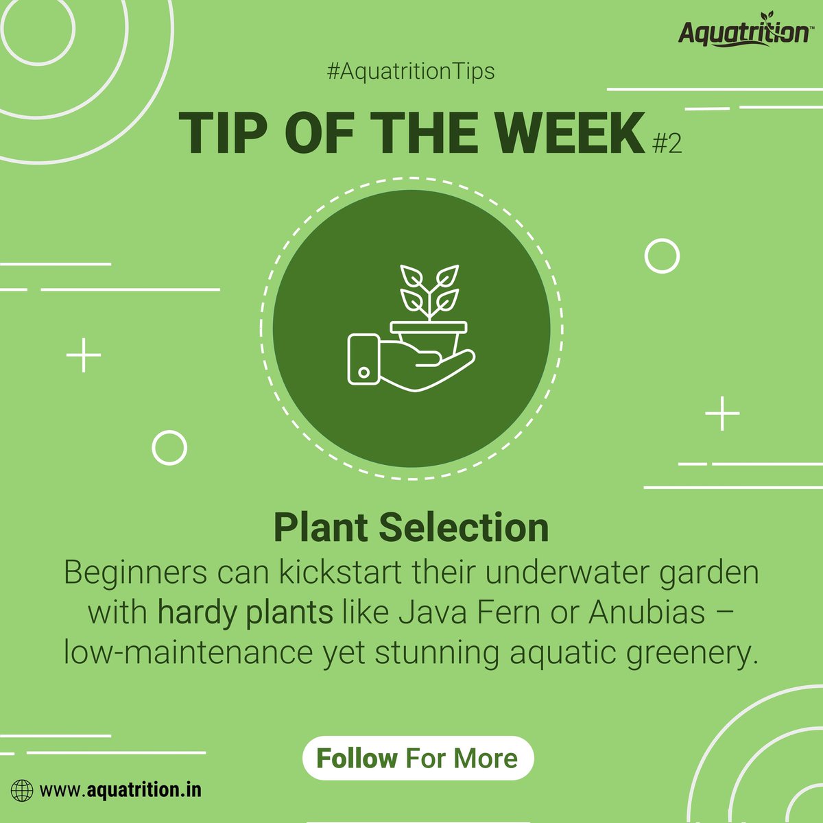 🌱 Aquatrition's #tipoftheweek ! 🐠 Elevate your planted aquarium journey with our expertly curated tips. Stay tuned every week! Follow for more, and don’t forget to spread the knowledge with fellow aquatic enthusiast.

#protipfriday #usefultips #aquatrition #aquatritiontips #2