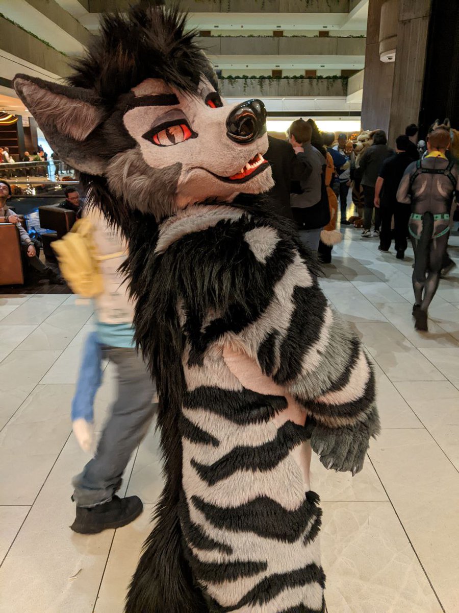Still reminiscing about how fantastic mff was this year 🥰!

Happy #FursuitFriday!
📷:<a href="/Shenandoah09/">Shen ☺️✈️</a>