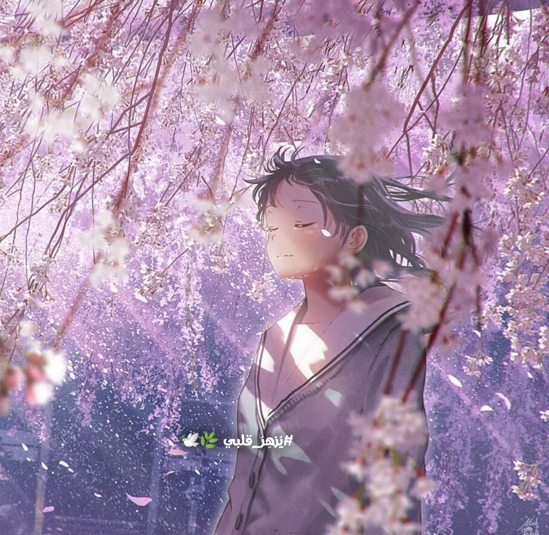 { إيّاك أن يلج السّك قلبك }

أعلم أنك تُحسن الظن بالله، لكن ظروف الحياة تشتت امرك، وقد تتعب #قلبك وتضطرب يمينا وشمالا ،لكن صدقني عند أول لحظة ترى فيها فرج الله ووعده العظيم ستتبدل هذه المشاعر، ويزيد #اليقين، حتى ترى النور ويصبح في قلبك من الإحسان ما لا يتصوره عقلك البسيط🧡🕊️