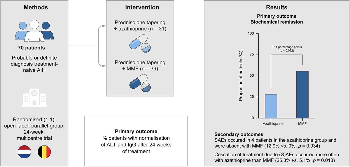 🆕 Exciting news!! Our paper is now published online in @JHepatology! journal-of-hepatology.eu/article/S0168-… 👌🏽 MMF (+steroids) is effective as first-line therapy for achieving biochemical remission in AIH 🥴 MMF: more favourable tolerability profile than AZA @joostphdrenth @Tom__gevers