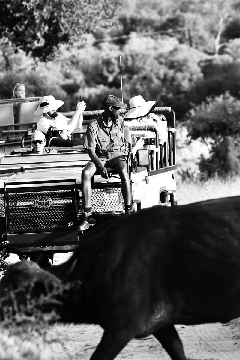 misguided_guide's tweet image. Starting a new photo series called “The Guides” . This collection aims to candidly capture the men and women working in the safari industry. #safari #photograghy