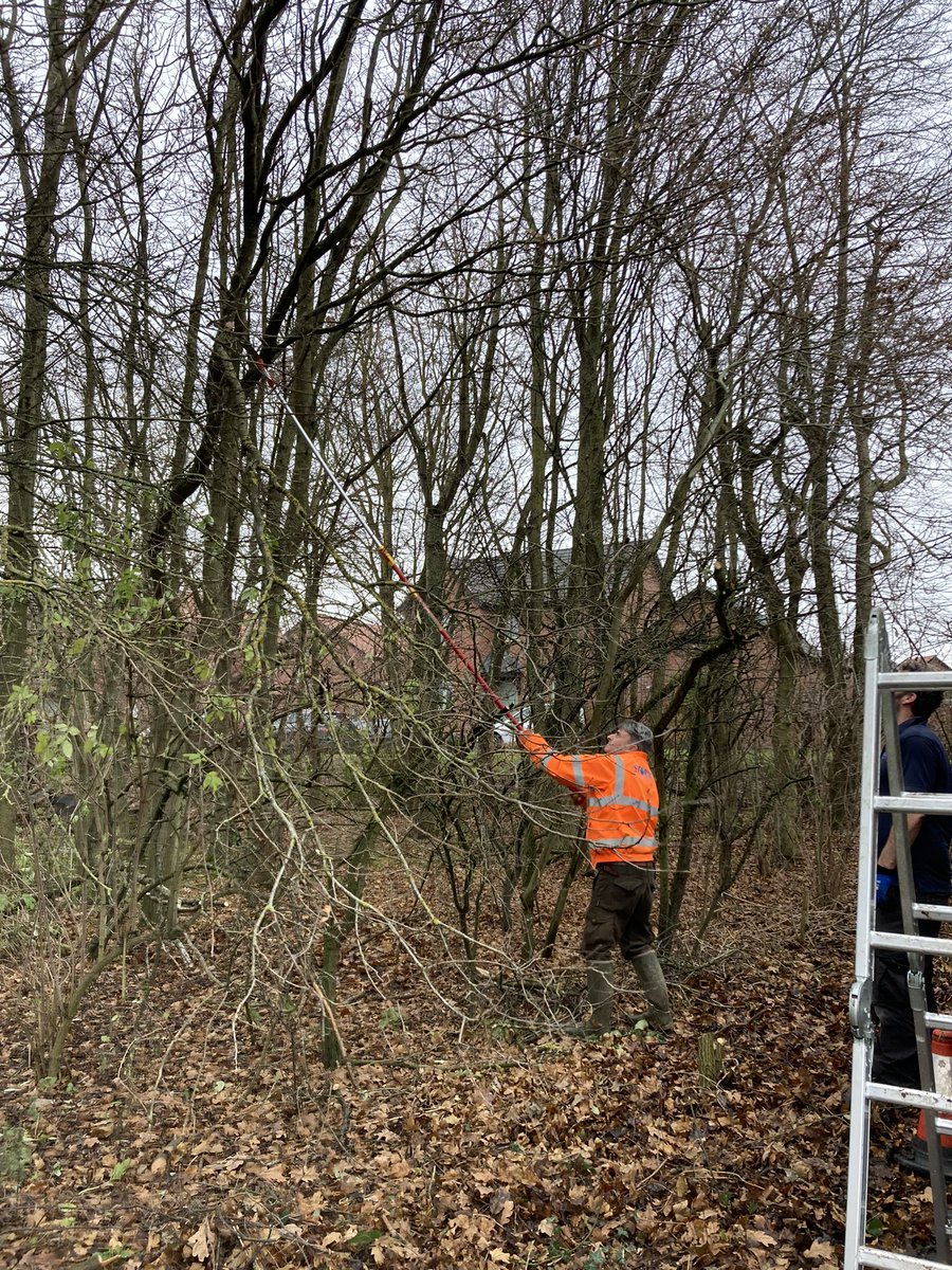 Storm Surveyors spending the morning helping to maintain the local scout site! #teamwork