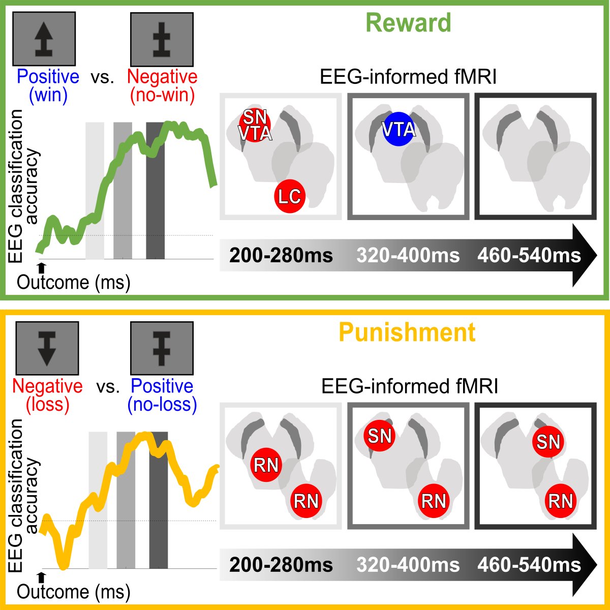 First piece of my postdoc work with <a href="/PhiliastidesMG/">Marios Philiastides</a> <a href="/CCNi_UofG/">CCNi_UofGlasgow</a> @UofGPsychNeuro now published in <a href="/CellReports/">Cell Reports</a>! We offer a spatiotemporal characterisation of outcome valence signals during reward- and punishment -based learning using EEG-fMRI fusion 1/4 sciencedirect.com/science/articl…