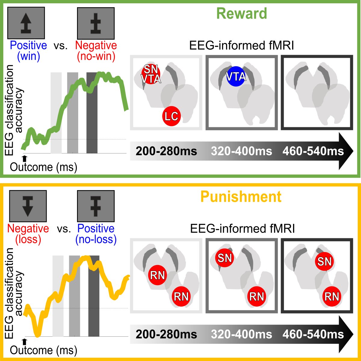 First piece of my postdoc work with @PhiliastidesMG @CCNi_UofG @UofGPsychNeuro now published in @CellReports! We offer a spatiotemporal characterisation of outcome valence signals during reward- and punishment -based learning using EEG-fMRI fusion 1/4 sciencedirect.com/science/articl…