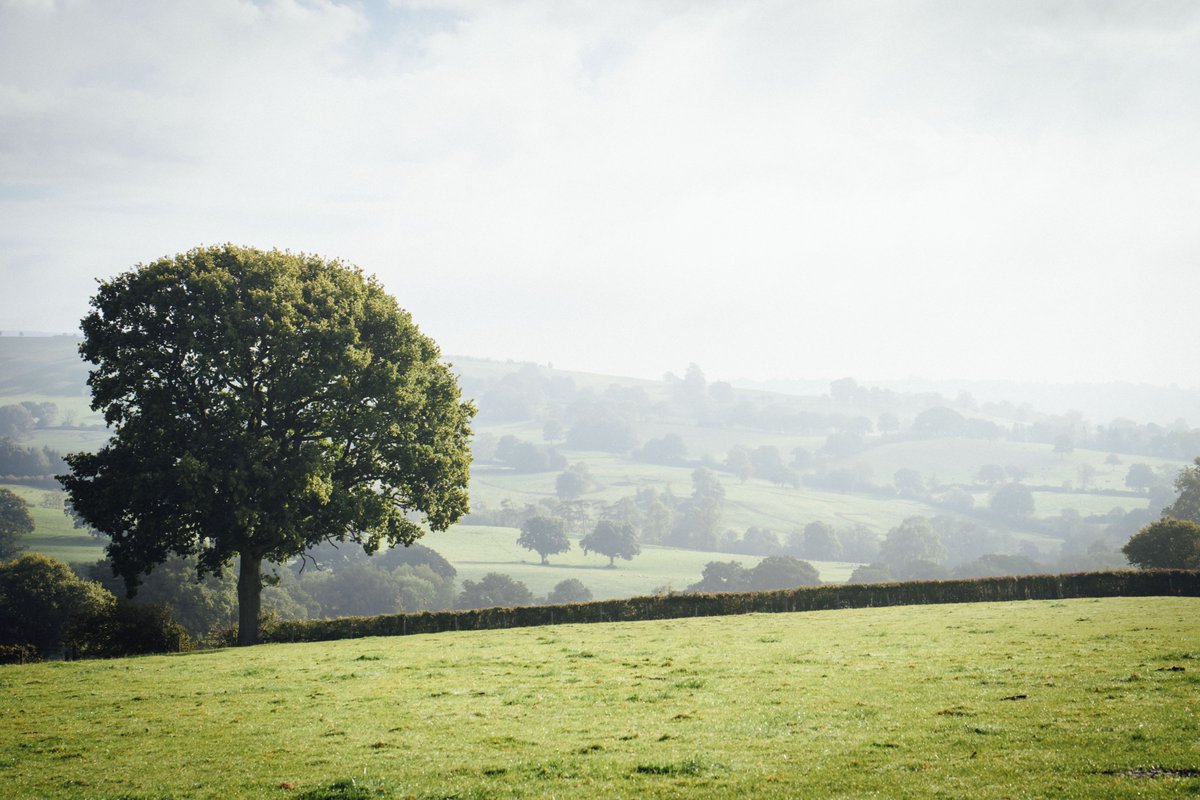 🦔 Biodiversity Net Gain - unpacking definitions

What is Biodiversity Net Gain? How can BNG and other environmental payments combine? What are the key considerations for farmers wanting to explore BNG options for their land?

Read our analysis here: tinyurl.com/4pbmznmh