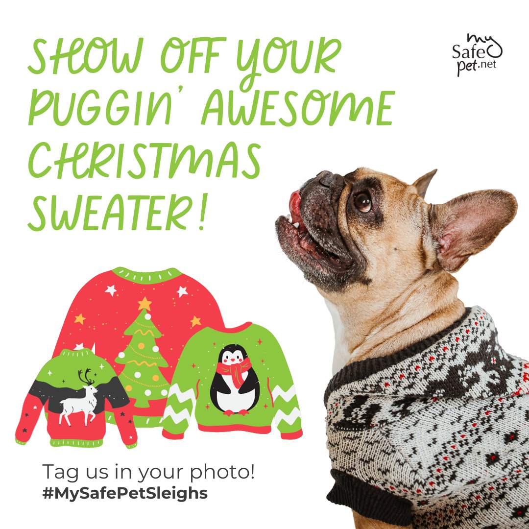MySafePetNet's tweet image. It&apos;s #NationalUglyChristmasSweaterDay, and our #furballs are ready to #sleigh in style! 🎅👕

🌟 Join our #UglySweater contest by posting pics of your pets rocking their #HolidaySweaters! 

Use the hashtag #MySafePetSleighs &amp;amp; tag us in your picture! 📸