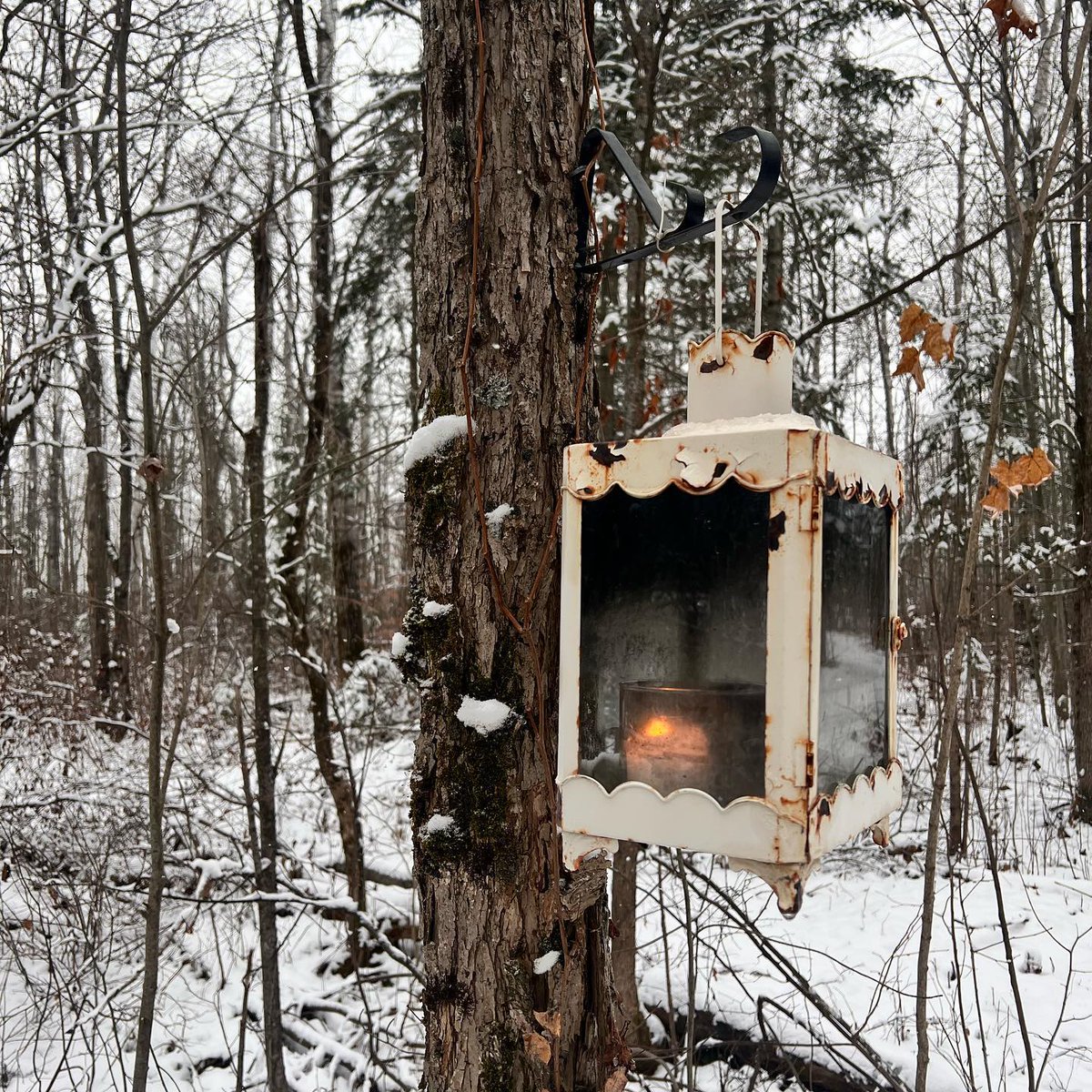 OnHighlands's tweet photo. Magical winter retreat @domeretreat
📸 @chelsc_explores
📍 dOMe Retreat
#OttawaValley #ComeWander #OntariosHighlands #dOMeRetreat #RenfrewCounty #WinterRetreat #Retreat #UniqueStay #Wellness #OffGrid #GeoDome #LandscapePhotography https://t.co/efNQnUhY7m