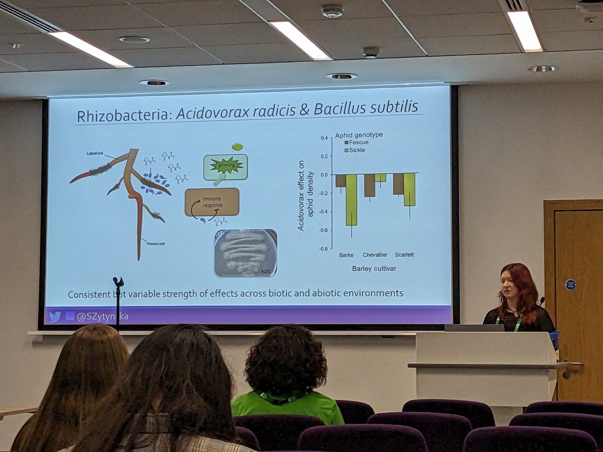 Rhizobacteria inoculation can reduce aphid densities in the lab, but what about when you test under field conditions? And how do we make inoculant communities that work together to optimize these effects?
Really interesting work by @SZytynska Watch this space! #BES2023