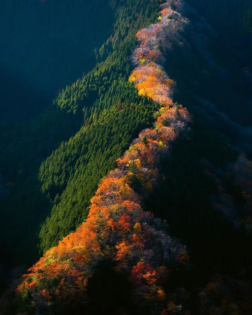 Seasons changing, Namego valley in Nara, japan.📷