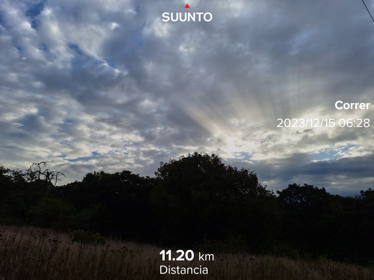 #FelizViernes #BuenosDías
🥐☕️
#Reto2023Kms #Reto50K 
#SumandoKmx #MeEncantaCorrer
#CorrerSana #ComuniRunners
#TemploRunner #YoElegíCorrer 
#CorrerMeHaEnseñado 
#EntreRunners  💯🏃🏽‍♀️🏃‍♀️🏃🏽‍♀️🏃‍♀️