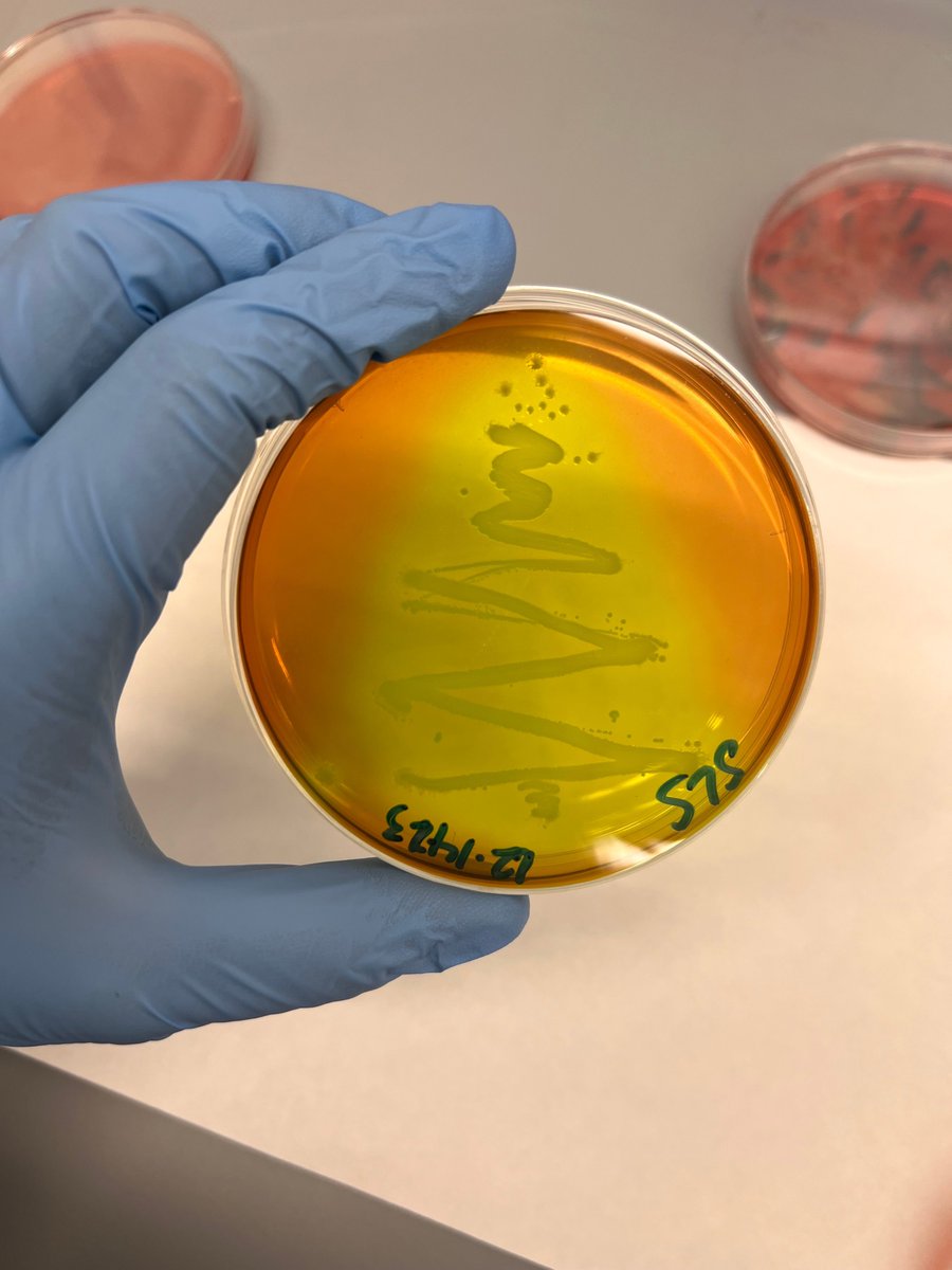 Ganda Lab tweet media