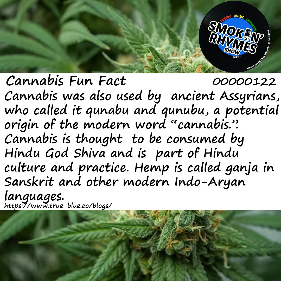 Potential origin of the word cannabis.
#funfact #funfactfriday #cannabisfunfact #cannabisart #cannabiscommunity #cannabiseducation #cannabis #cannabismedicine #cannabisculture #cannabissociety #cannabislifestyle #cannabislover #cannabisindustry #cannabisphotography #global #aimhy