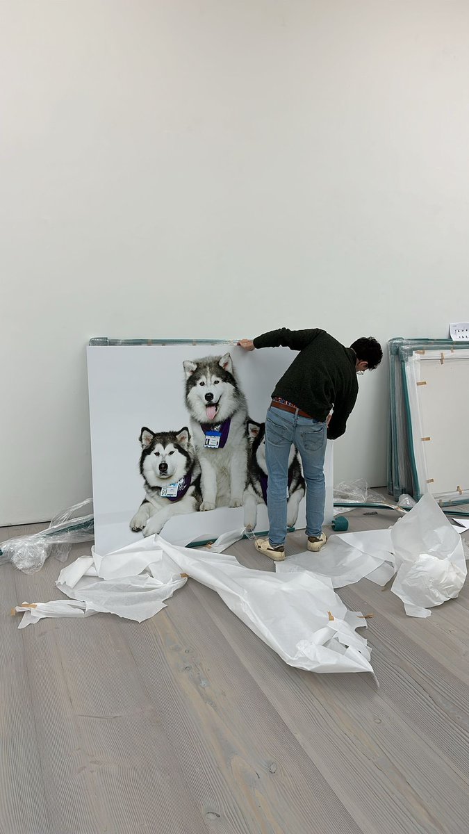 This Christmas we're asking you to please make a gift of any size that you can, to help support 'Dogs with Jobs' &amp; make a lifelong impact providing veterinary care, training, and support for their human companions who rely on them. @rankinphoto 🐾🙏🏻💜 kennelclubcharitabletrust.org/news/saatchi-g…