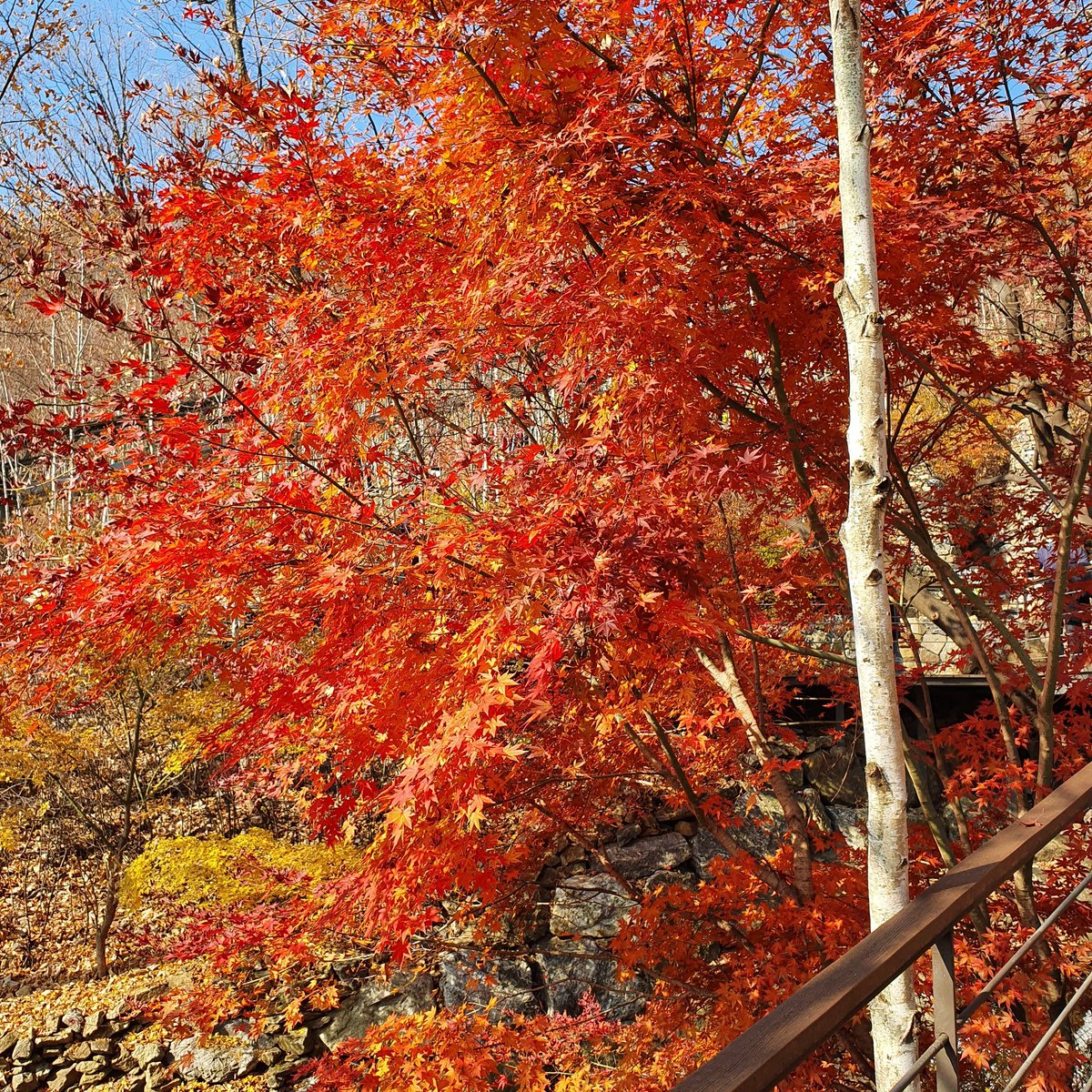 Simanism's tweet image. #NewProfilePic