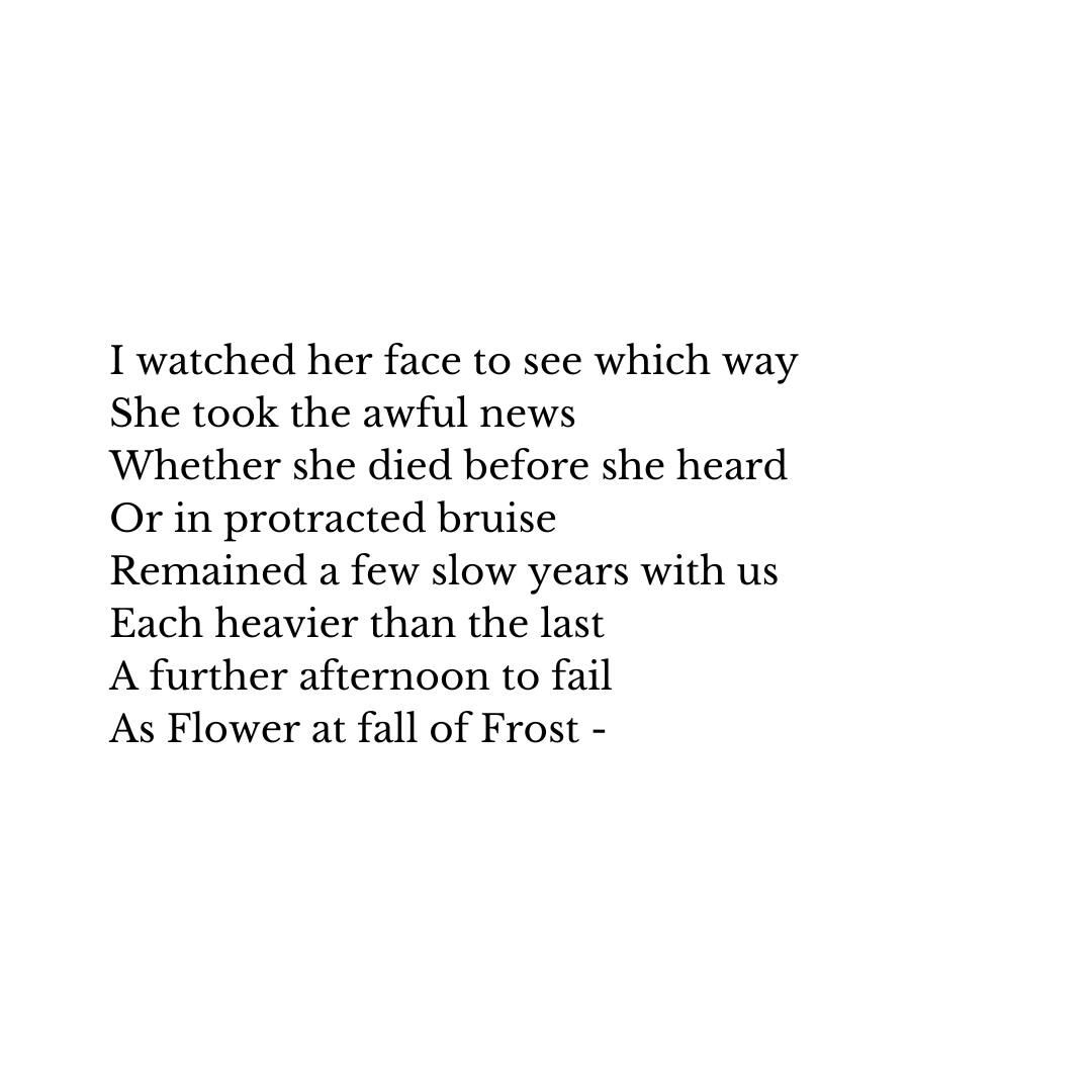 Emily Dickinson Museum (@DickinsonMuseum) on X, image size:1080x1080