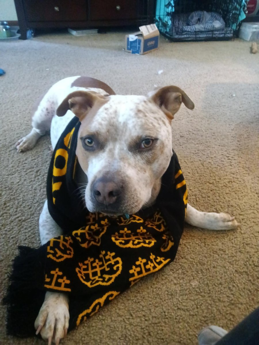 Iowa Neuroscience Institute (@uiowaneuro) on Twitter photo It's good to take a break from science once in a while. If your roommate looks at you like this, it might be time to head back to the lab.
<a href="/KovacsEmeseHC/">Emese Kovács</a> <a href="/MarieEIrish/">Marie Gaine 🐘</a> It's good to take a break from science once in a while. If your roommate looks at you like this, it might be time to head back to the lab.
<a href="/KovacsEmeseHC/">Emese Kovács</a> <a href="/MarieEIrish/">Marie Gaine 🐘</a>