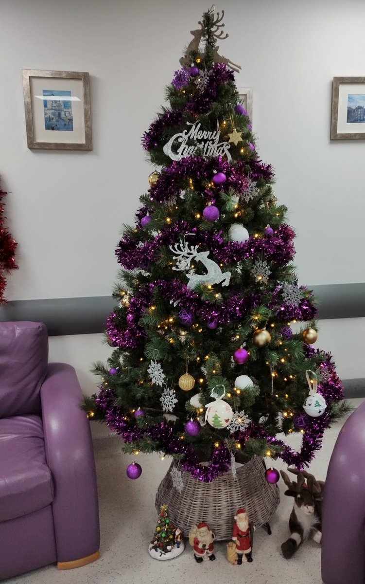 Some beautiful singing today of Christmas songs in the wards at StACH thanks to Lily #christmasinstach  <a href="/nhsfife/">NHS Fife</a> <a href="/michelleWil67/">michelle williamson</a> @FHSCPNursing