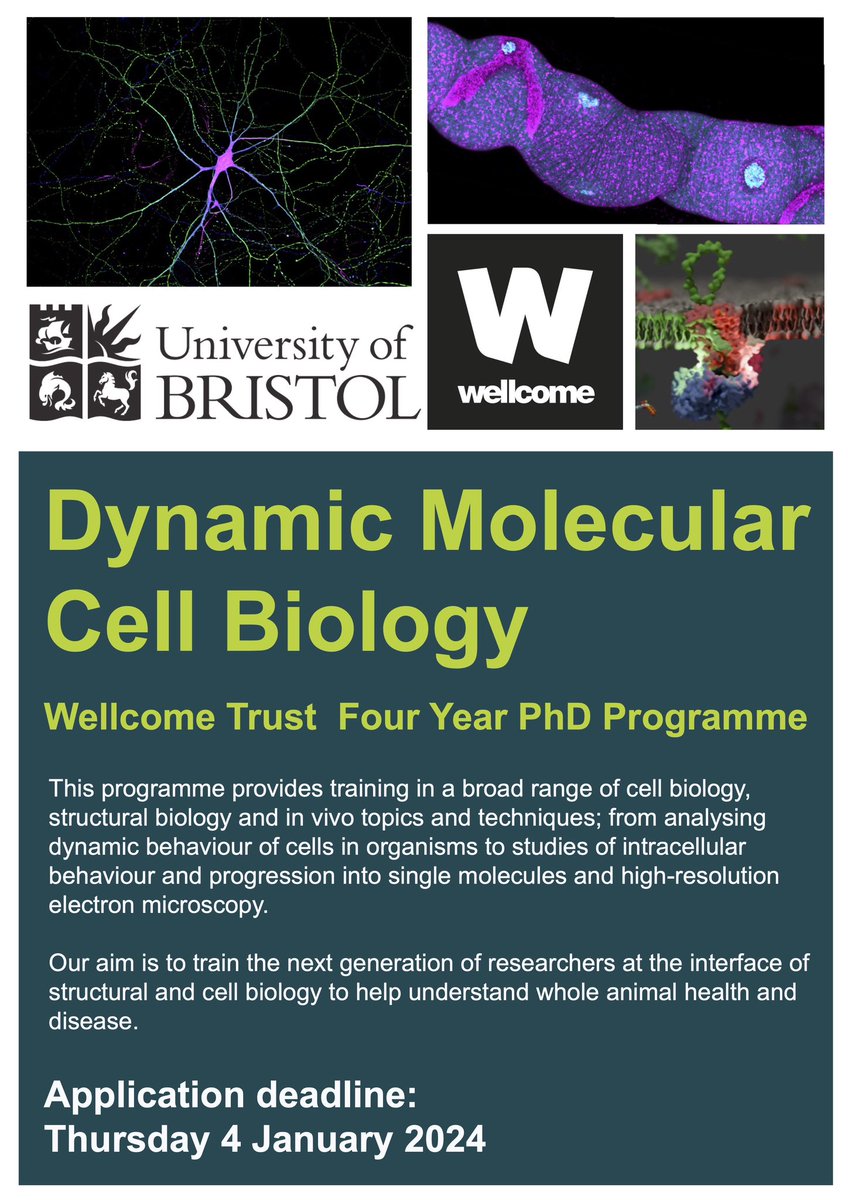 Interested in Dynamic Molecular Cell Biology? Applications are open for our Wellcome Trust 4 year PhD Programme at the University of Bristol! Deadline 4th January. Please share!