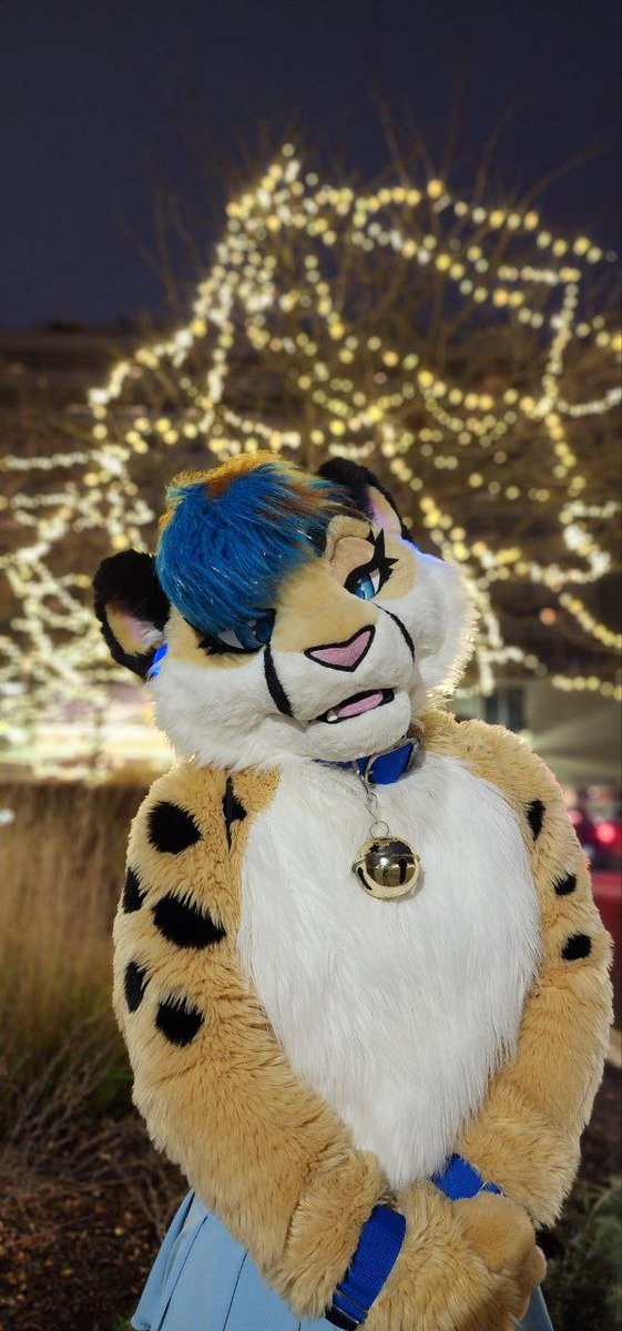 Just one week away from CHRISTMAS! 🎄 📷 @bcbreakaway 📍 @FurFest #FursuitFriday