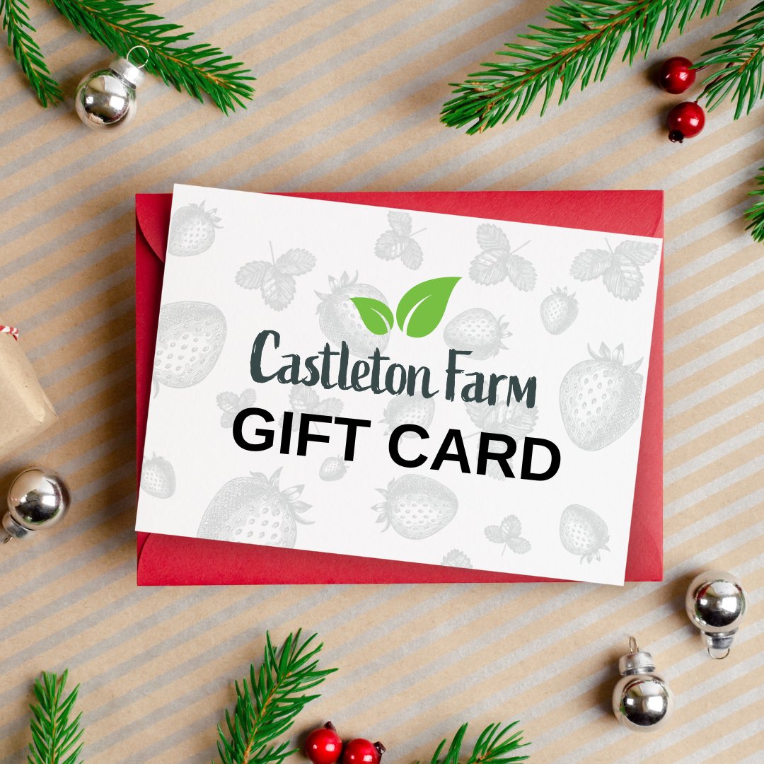 Exciting news! Our amazing gift vouchers are now up for grabs in a digital format! Just click the link below to snag yours. 🎁 castletonfarm.co.uk/product/gift-v… #christmas #xmas #christmasaberdeenshire #festive #christmasscotland #stonehaven