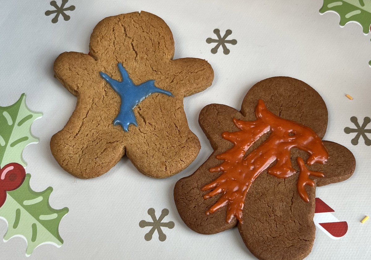 Celebrating winter in style with <a href="/illumina/">Illumina</a> DRAGEN and Emedgene gingerbread cookies 🥳☃️❄️