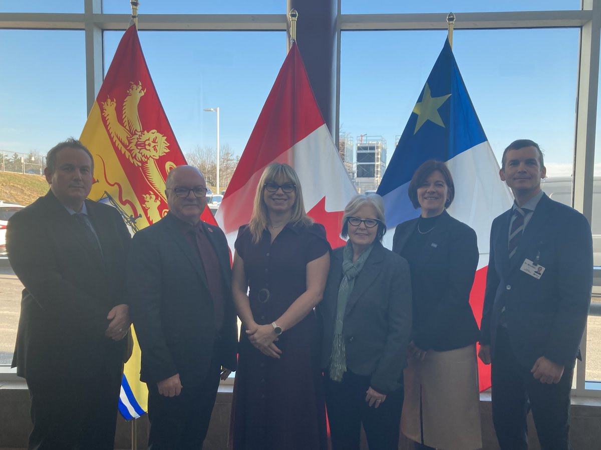 Up to 24 clinical assistants will be hired to provide patients with care in both of the province’s regional health authorities.

Clinical assistants are internationally trained medical professionals who wouldn’t qualify for a licence in New Brunswick, but will be able to support