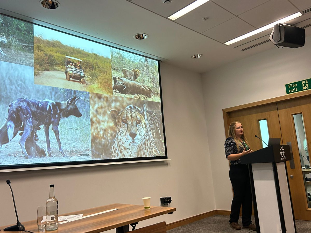 HoniballT's tweet image. #BES2023 done! Thanks to all who attended my talk despite the transport strikes. It was a pleasure sharing a bit of South African conservation! (And learning that there is a Dog Lab in India. Love that)
@Wildlife_Harris
@WildEcoLabNMU