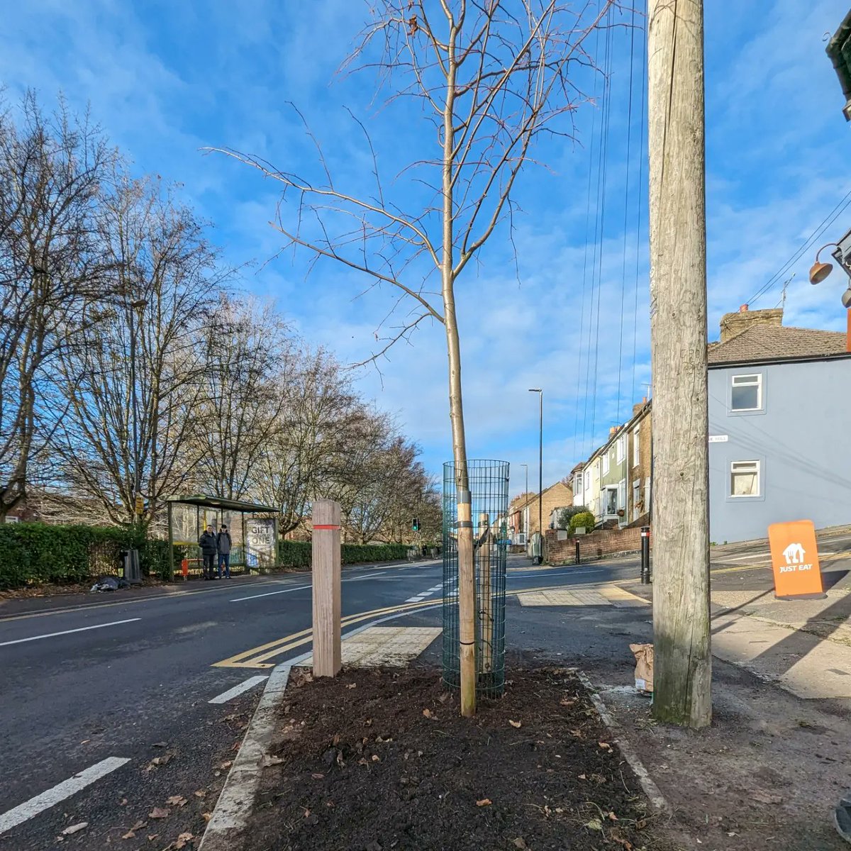 💚 We've been busy caring for our tree pits and planting bulbs on Luton Road in time for spring. 🌳 Keep your eyes peeled for more tree planting in 2024!