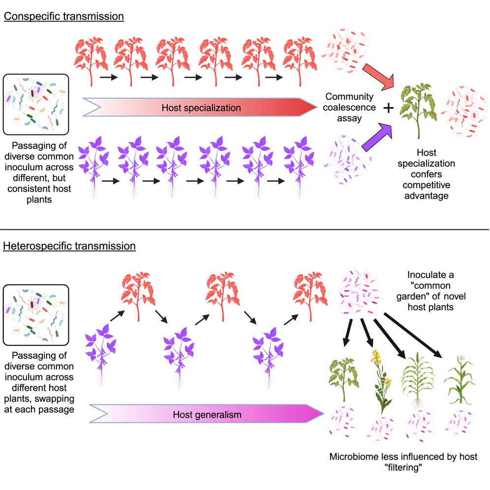Cell Host & Microbe tweet media