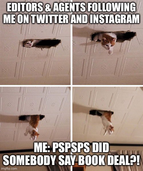pspsps here kitty kitty…📚