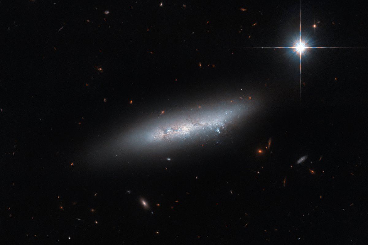 Time for #HubbleFriday! ⏰ This image shows the irregular galaxy NGC 2814, which is about 85 million light-years away. Find out more: go.nasa.gov/3v8QOBu