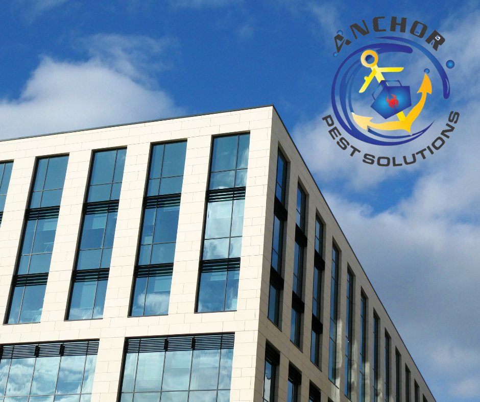 anchor_pest's tweet image. Commercial spaces deserve pest control that works as hard as you do. Partner with us at AnchorPestSolutions.com. ✨ #BusinessPestControl #SafeEnvironment