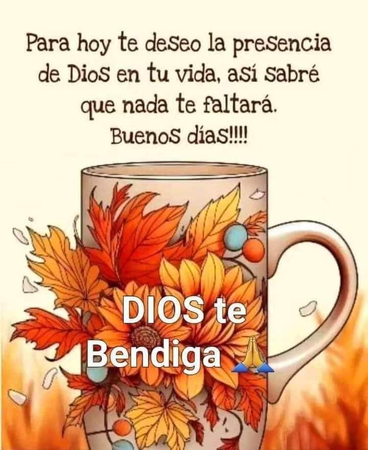 Excelente día