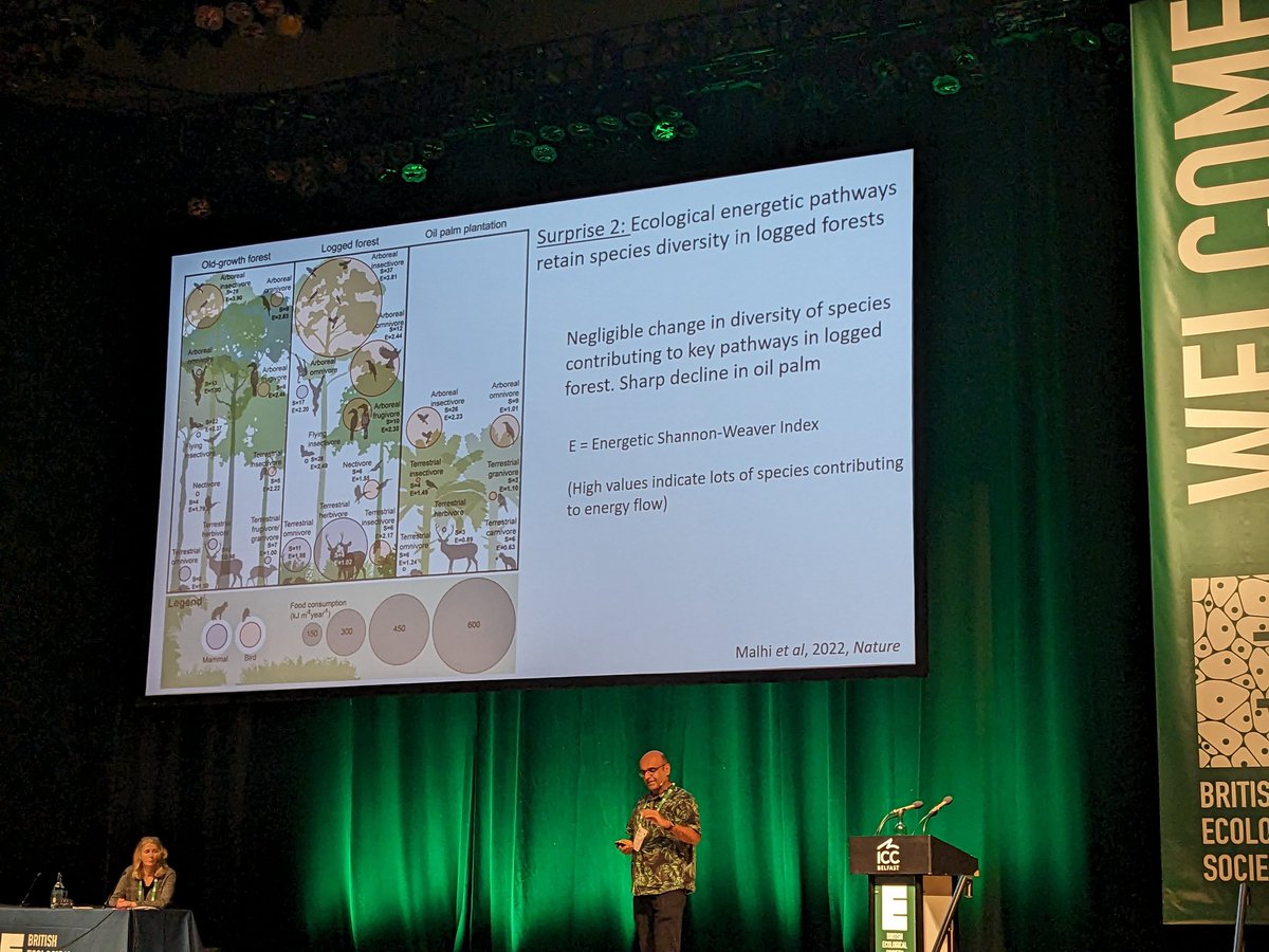 Animals are often invisible in earth system science (where the focus is on vegetation). So how do we bring animals into the productivity discussion? Excellent presidential address by Yadvinder Mahli to end a fantastic conference #BES2023