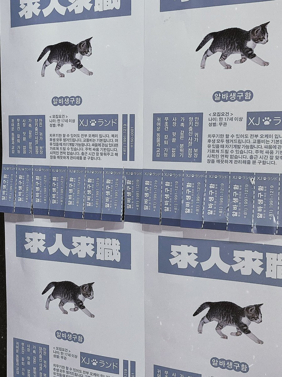 𝐂𝐀𝐅𝐄 𝐎𝐏𝐄𝐍 𝐃-𝐃𝑨𝒀 ❆ ’ ¹⁹⁹¹¹²¹⁹ 

와글와글 합니다
놀러 오세요