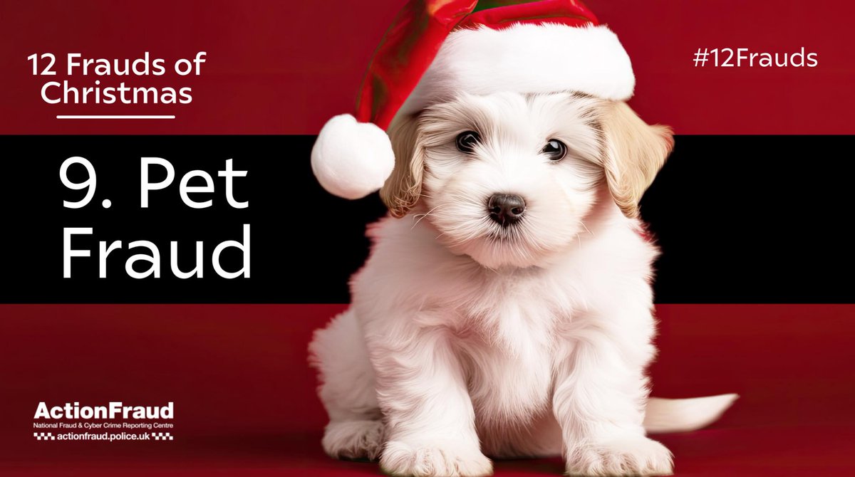 Paws for thought this Christmas before buying a pet online. ⚠️Do your research ⚠️Trust your instincts ⚠️Choose your payment method wisely 🤔 To find out more about how to protect yourself from pet fraud, click here: actionfraud.police.uk/petfraud #12Frauds