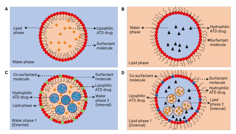 Researchers are exploring new drug delivery systems to combat tuberculosis (TB). This review presents the current status & challenges to the use of (nano) emulsions & nanoparticle-assisted drug delivery against drug-resistant TB. #ClinMicroRev: asm.social/1CP