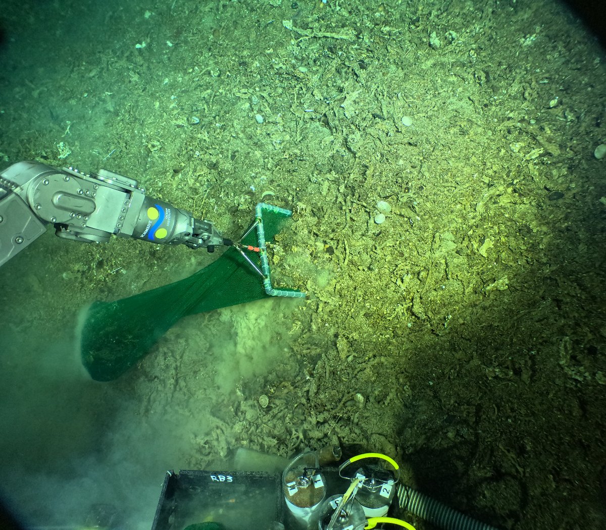 🔴I #ICMNEWS I 🔴

🚢A few weeks ago, the #CliffReefs expedition led by <a href="/SchmidtOcean/">Schmidt Ocean</a> unveiled pristine deep-sea coral reefs in the Galápagos.

👩‍🔬The ICM took part in this trip combining ROV &amp; laser scanner

🔗icm.csic.es/en/news/scient…

<a href="/Cabliers_Reefs/">Cabliers_Reefs</a> <a href="/DarwinFound/">Charles Darwin Foundation-Fundación Charles Darwin</a> <a href="/parquegalapagos/">Parque Galápagos</a>