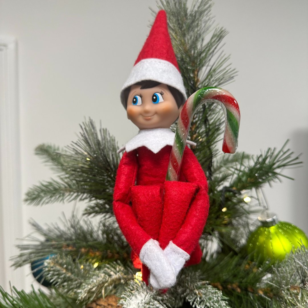 Ezra has left us all a treat on our desks today: a candy cane from the North Pole! 🍬

However, we are all confused about how he carried them all to the office from the warehouse 🤔.

How do you think he got them here? Let us know in the comment section! 👇