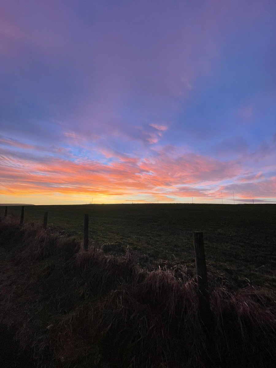 Amazing sunset 🎅🎄🦡