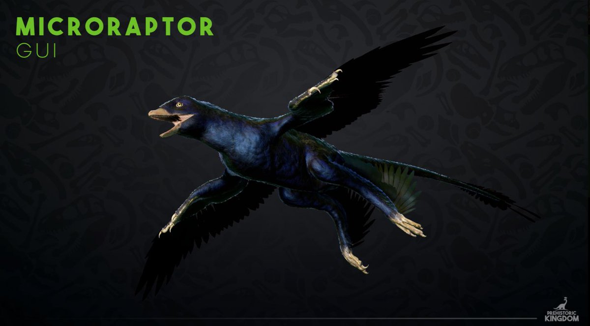 The microraptor was thought to be a nighttime hunter, based on the scleral ring of its eyes 👁️ ❌ However, this theory was thrown out upon the discovery of its iridescent feathers 🪶 since modern birds who have the same type of feathers are not night hunters #fossilfriday