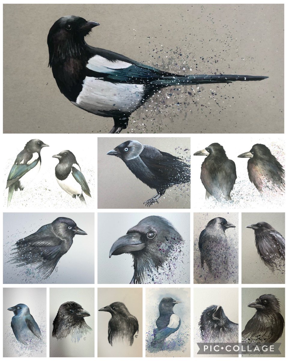 Currently battling a nasty bout of Covid, so here are some Corvids. What a difference an ‘R’ makes!